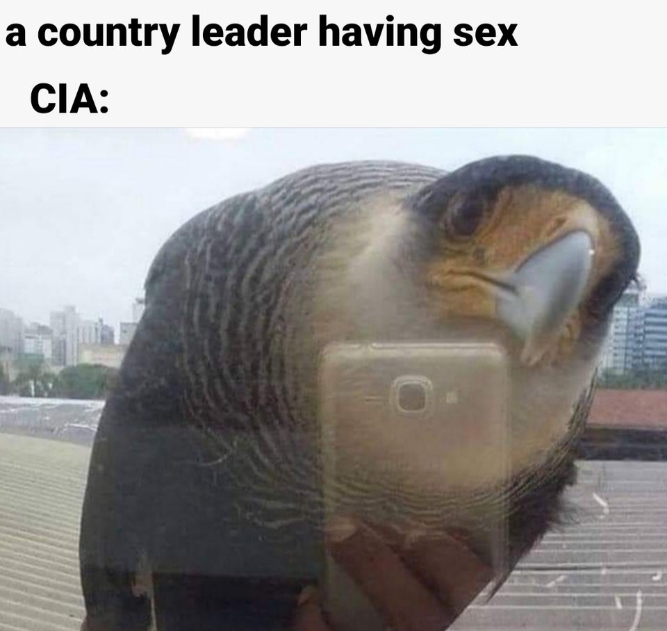 CIA and taping sex acts of world leaders, KGB too